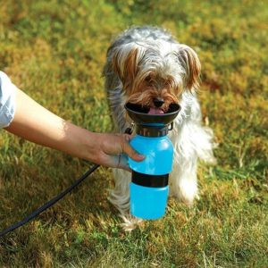 Prenosiva flašica / čaša za pse – Aqua Dog