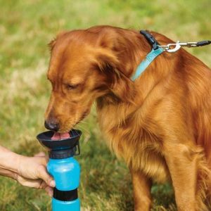 Prenosiva flašica / čaša za pse – Aqua Dog